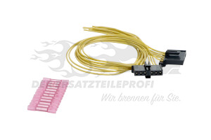 Reparatursatz - Kabelbaum Rückleuchte li oder re (VPE 2)