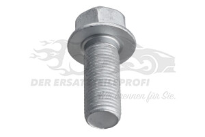 682230 Schraube für Bremssattel-Träger vorne Citroen