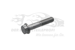 Schraube für Stoßdämpfer Dacia 7703102090