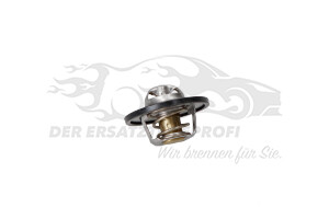 212007696R Thermostat 