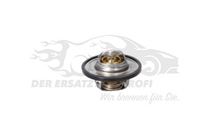 212007696R Thermostat 