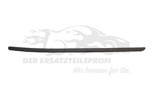Dichtung für Türscheibe Dacia 828207101R