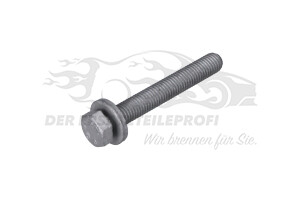 Schraube unten am Querlenker M12x175-85