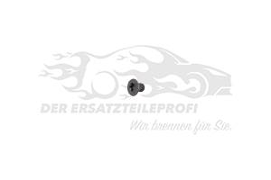 Schraube für Zündschloss