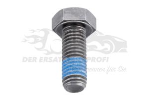 7701020243 Schraube für Bremssattel vorne oder hinten Renault