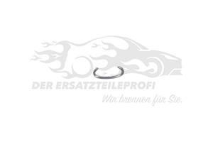 Befestigungsklammer für Stoßstange vorne/hinten (VPE 100)