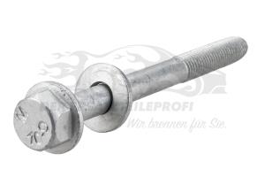 7703602190 Schraube für Stoßdämpfer Hinterachse Renault