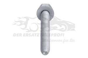 7703101630 Schraube für Silenstrebe Renault