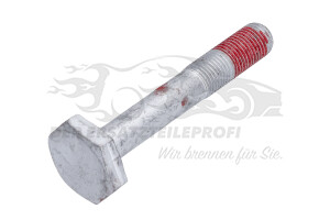 7703101623 Schraube unten am Querlenker Renault