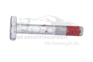 7703101623 Schraube unten am Querlenker Renault