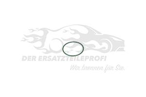 Dichtung für Hochdruckpumpe