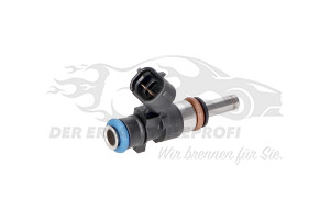 Einspritzventil Renault 166009373R