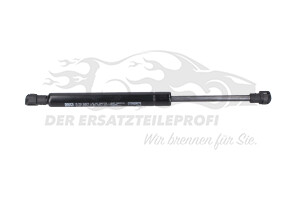 Gasfeder für Motorhaube