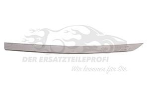 Zierleisteneinsatz hinten links