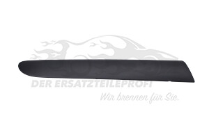 Zierleiste hinten rechts schwarz