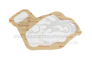 808649048R Türfüllung vorne rechts Renault