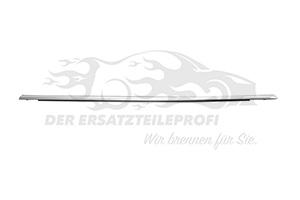 Fensterdichtung (Seitenscheibe)