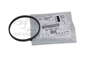 Dichtung Thermostat