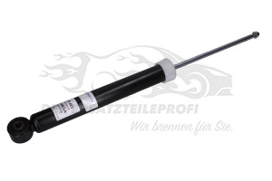 Stoßdämpfer 13420233