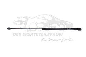 Heckklappendämpfer beidseitig