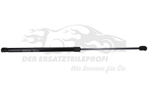 Heckklappendämpfer beidseitig