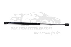 Heckklappendämpfer beidseitig