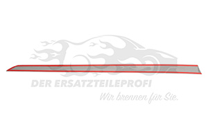 24461097 Zierleiste Tür vorne links 