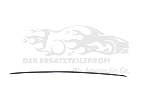 13368946 Zier-/Schutzleiste Stoßstange hinten mitte 