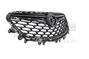42506900 Kühlergrill oben 