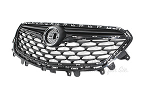 42506900 Kühlergrill oben 