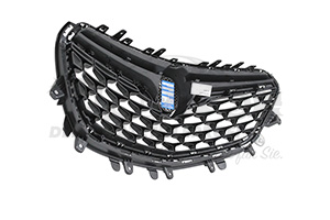 42506900 Kühlergrill oben 