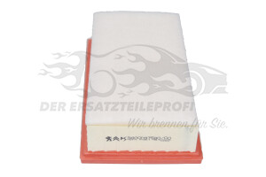 9800097580 Luftfilter Citroen