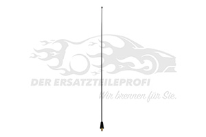 B000918280 Antennenstab Citroen