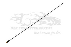 B000918280 Antennenstab Citroen