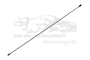 B000918280 Antennenstab Citroen