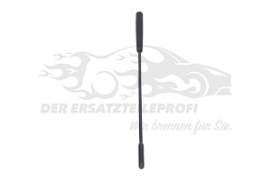 B000918480 Antennenstab Citroen