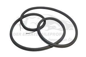 9025G8 Türdichtung (Rahmendichtung) hinten Citroen