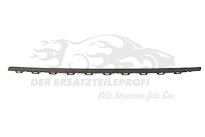 Dichtleiste für Türscheibe vorne links,schwarz