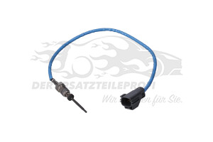 Abgastemperatursensor Katalysator