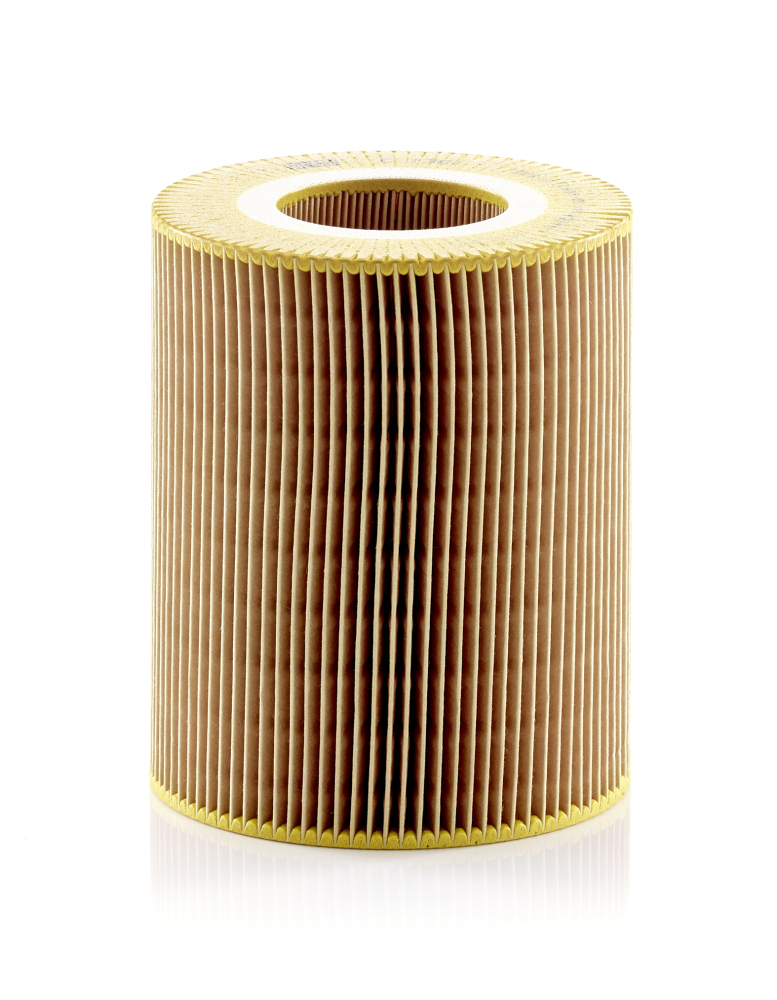 Luftfilter MANN-FILTER C1381