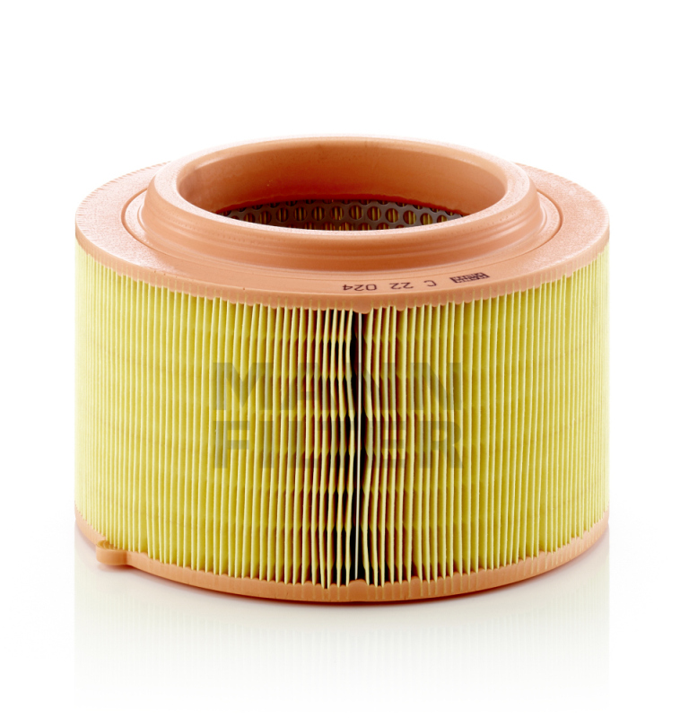Luftfilter MANN-FILTER C22024