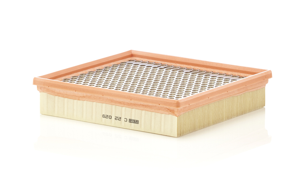 Luftfilter MANN-FILTER C22029