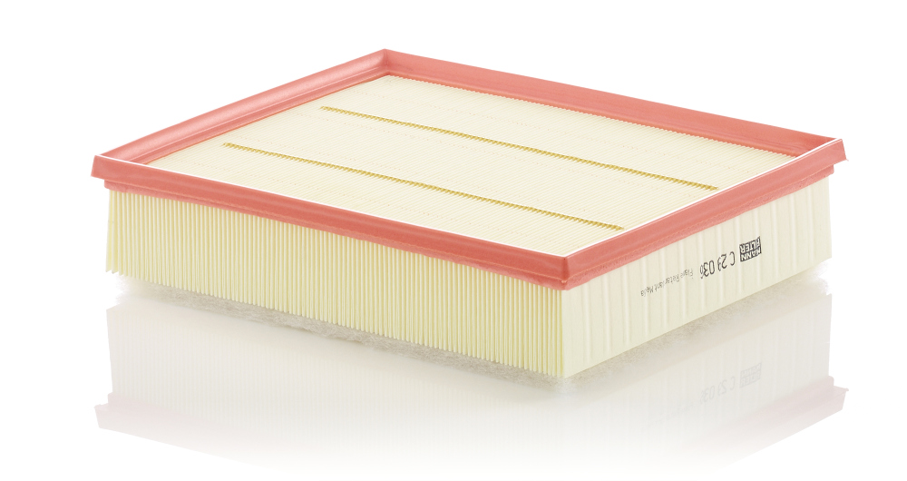 Luftfilter MANN-FILTER C29036