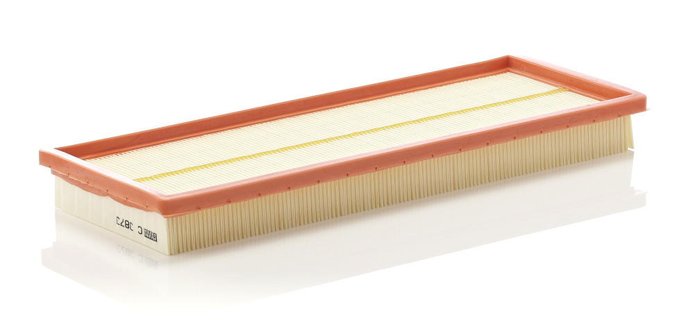 Luftfilter MANN-FILTER C3873