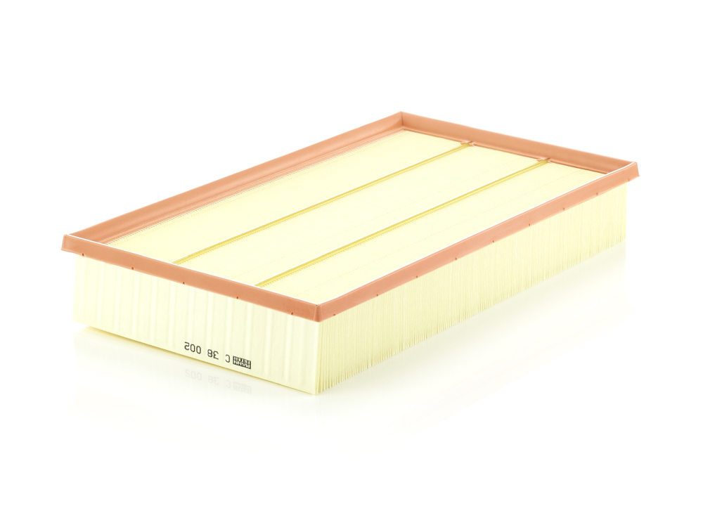 Luftfilter MANN-FILTER C38002