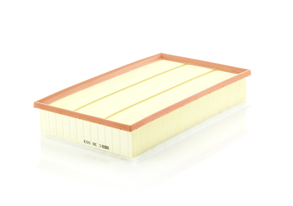Luftfilter MANN-FILTER C38003