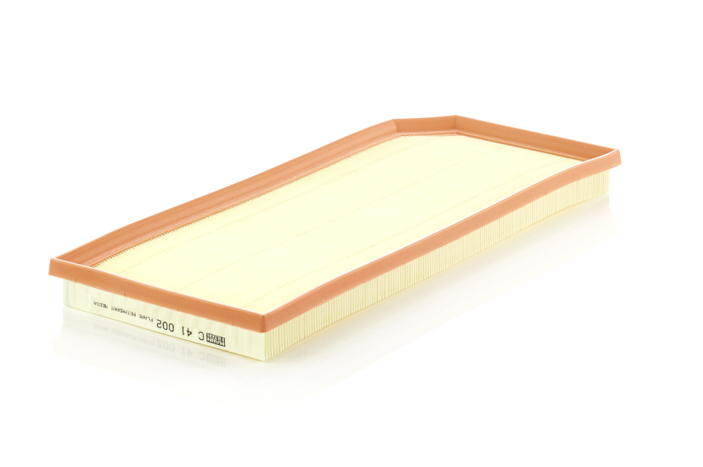 Luftfilter MANN-FILTER C41002