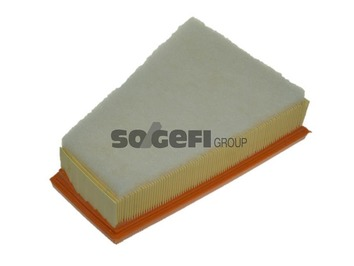 Luftfilter PURFLUX A1057