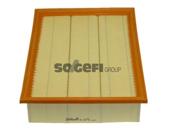Luftfilter PURFLUX A1075