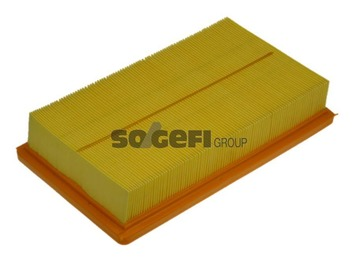 Luftfilter PURFLUX A1116